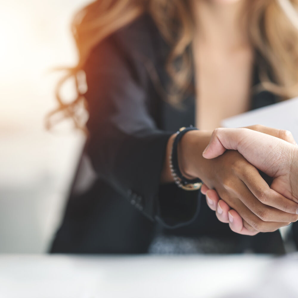 Businesswoman handshake and business people. Successful business concept.